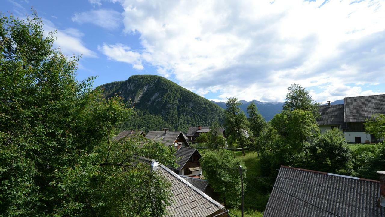 Apartmaji Pekovec Bohinji-tó Kültér fotó